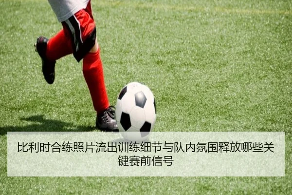 比利时合练照片流出训练细节与队内氛围释放哪些关键赛前信号